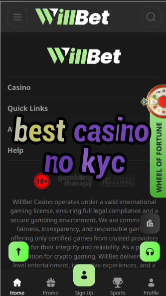 Best Casino No KYC - Anonymous Gambling Sites-casinoorder.vip